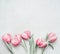 Lovely pastel pink tulips at light background, top view. Layout for springtime holidays