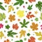 Lovely pattern of leaves. Endless background.