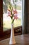 Lovely Pink Gladiolus Flowers in Vase Beside Window