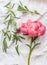 Lovely pink peony on white fabric