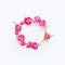 Lovely pink tulips flowers wreath on white desktop background. Top view. Flat lay. Layout. Design. Frame. Springtime composition.