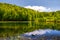 Lovely pond in the forest on a hillside