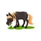 Lovely pony eating green grass. Little black horse with blonde mane and tail. Hoofed mammal animal. Flat vector icon