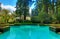 Lovely pool in the garden In Lakewood Garden