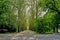 A lovely promenade leading to the Castle Chenonceaux