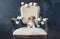 Lovely puppy dog portrait. Corgi puppy sit on wooden white armchair.