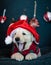 Lovely puppy yawning exhausted with Santa hat. Xmas scene