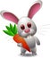 Lovely rabbit holds carrot