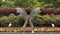 Lovely roadside garden with an abstract sculpture surrounded by flowers and hedges in Southlake, Texas.