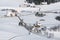 Lovely rural countryside on snowy winter day. Aerial view of barnyards and farm. Weitnau, Allgau, Bavaria, Germany.