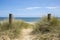 Lovely sand dunes and beach landscape on sunny Summer day