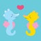 Lovely seahorses