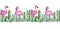 Lovely seamless repeat border with green watercolor cactus,succulents,flowers and pink flamingos