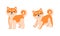 Lovely Shiba Inu Dog Set, Cute Akita Inu Playful Puppy Cartoon Vector Illustration