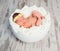 Lovely sleeping newborn girl in eggshell basket