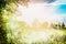 Lovely summer nature background with trees foliage , sky, field and sun rays, outdoor