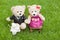 Lovely teddy bear sit on wooden chair, Concept wedding of love,