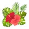 Lovely  tropical bouquet. Hibiscus and monstera leaves. Exotic flowers and Palm leaves