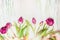 Lovely tulips with bokeh on shabby chic background, top view