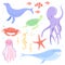 Lovely underwater animals set, clown fish, jellyfish, seahorse, starfish, whale, fur seal, turtle, octopus cute sea