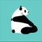 Lovely vector panda sit and play foot
