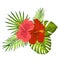 Lovely vector tropical bouquet. Hibiscus and monstera leaves. Exotic flowers and Palm leaves