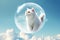 A lovely white chubby cat wrapped in a bubble flying