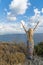 Lovely young woman with long blonde hair on the mountain by the seashore with hands up to the sky. People connecting with nature