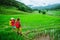 Lover asian man asian women travel nature Travel relax Walking a photo on the rice field in rainy season in Chiang Mai, Thailand