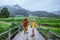 Lover asian man asian women travel nature. Walking a photo the rice field and stop take a break relax on the bridge at  ban mae