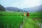 Lover asian men asian women travel nature Travel relax Walking a photo on the rice field in rainy season in Chiang Mai, Thailand