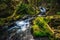 Lover`s Lane Falls, Sol Duc Wilderness