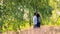 Lovers stand under a tall green birch and hug.