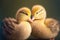 Lovey-dovey ducks in love. Cute lovers close together. Generative AI