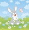 Loving bunny with a white daisy