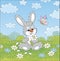 Loving bunny with a white daisy