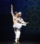 A loving companion- ballet â€œOne Thousand and One Nightsâ€