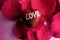 LOVING CONCEPT with red rose petals and printed word of LOVE on the red heart shape