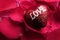 LOVING CONCEPT with red rose petals and printed word of LOVE on the red heart shape.