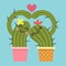 Loving couple of cactus