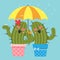 The loving couple of cactus with umbrella