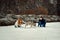 Loving Couple Playing Siberian Husky Snow Forest Fun Horizontal Happy Snowy Smiling.
