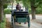 A loving couple is riding a carriage in the park. View from the back