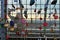 Loving Couple Taking Selfie Behind Wall of Love Lock