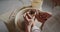 Loving couple working on poterry wheel in pottery workshop