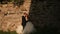 Loving groom tenderly holds his beautiful bride while embracing her standing near antique ruined wall