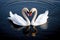 loving swans forming a heart shape on a serene lake