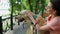 Loving young woman resting in the park with her dog