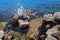 Lovran`s coast,rocks and waves, Adriatic coast, Kvarner bay, city details, Croatia