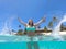 LOW ANGLE: Cheerful Caucasian woman on holiday splashing glassy water in the air